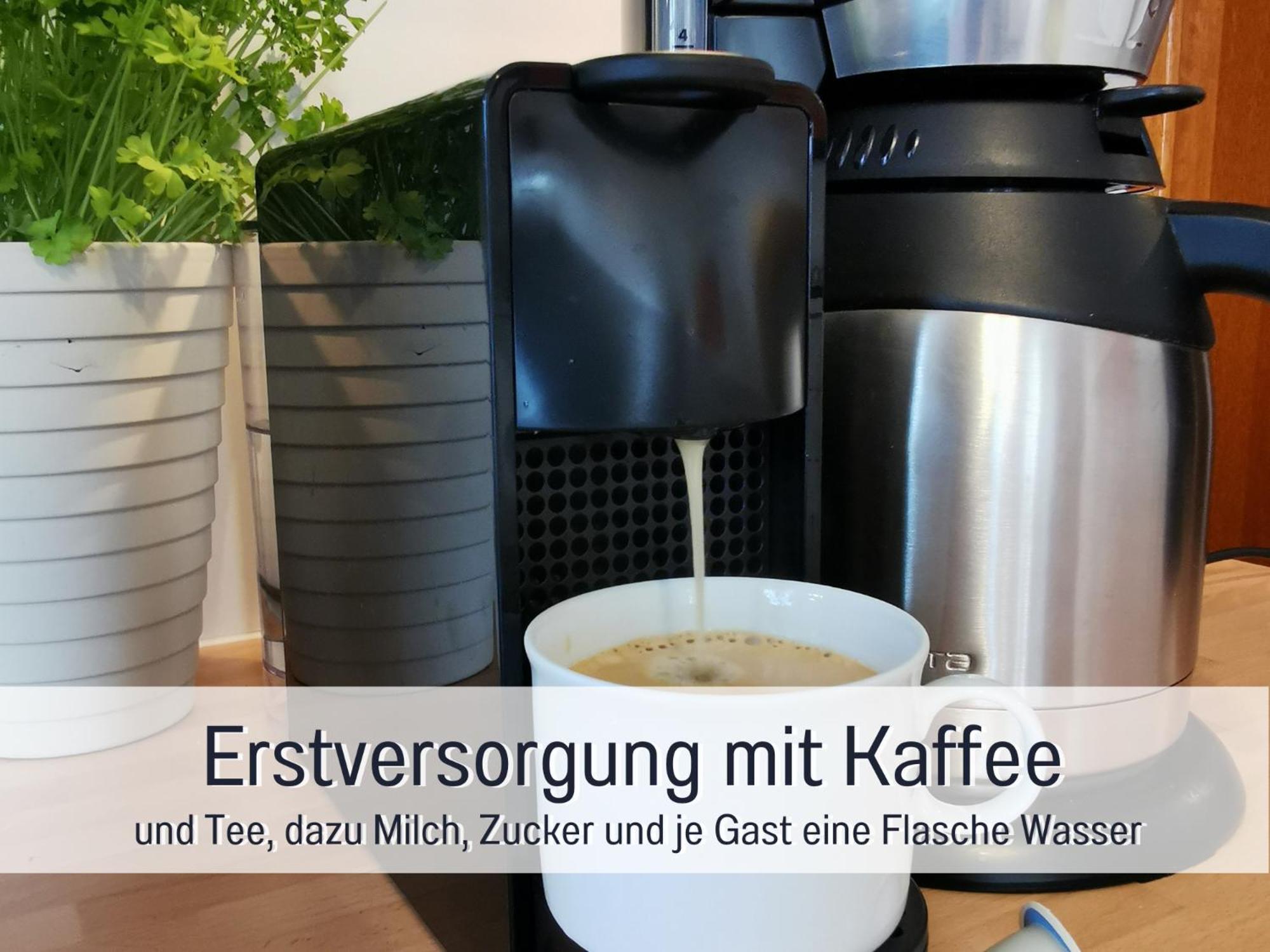 Ferienhaus Schwaab-Scherr, Genau Zwischen Bernkastel-Kues Und Traben-Trarbach, Mit Kostenlosem Oepnv-Ticket Fuer Bus Und Bahn, Parkplaetzen, Fahrradgarage Und Vielen Tipps Erden Exterior foto