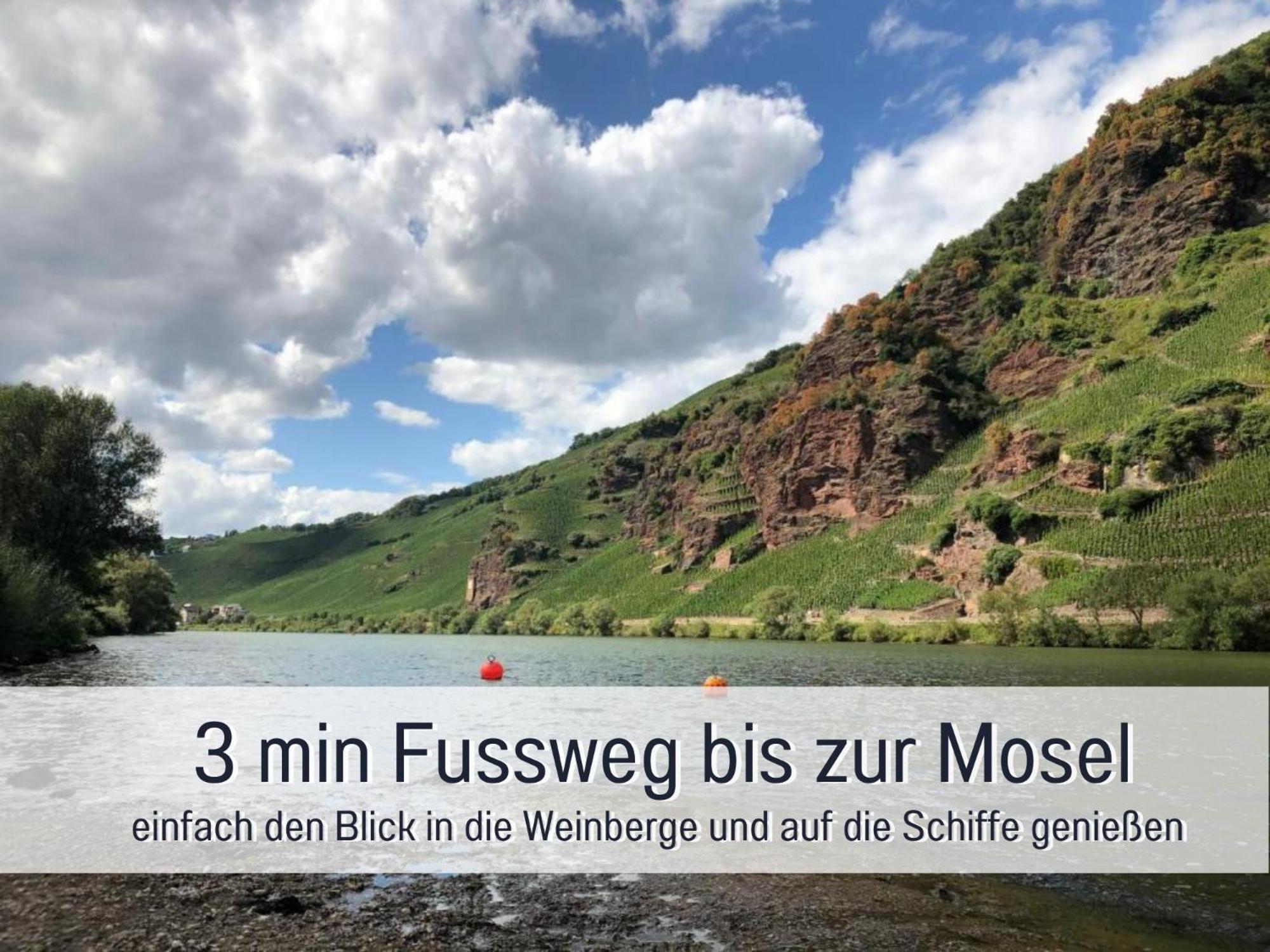 Ferienhaus Schwaab-Scherr, Genau Zwischen Bernkastel-Kues Und Traben-Trarbach, Mit Kostenlosem Oepnv-Ticket Fuer Bus Und Bahn, Parkplaetzen, Fahrradgarage Und Vielen Tipps Erden Exterior foto